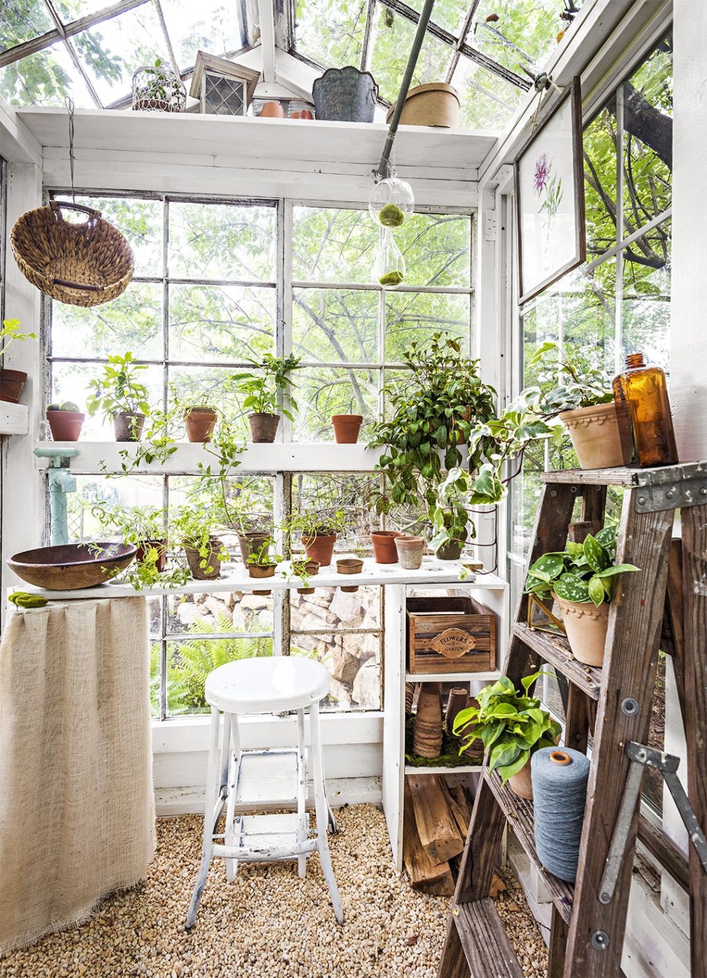 Picture of: This Couple Built a Gorgeous Mini Greenhouse from Antique Windows